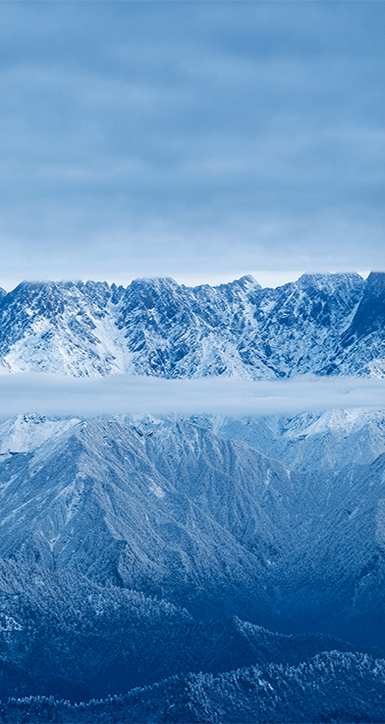 关于mg森林舞会