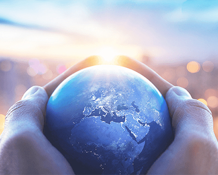 mg森林舞会资本